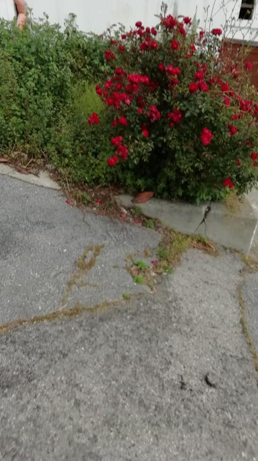 Appartamento Casa di Gabry Torino di Sangro Esterno foto